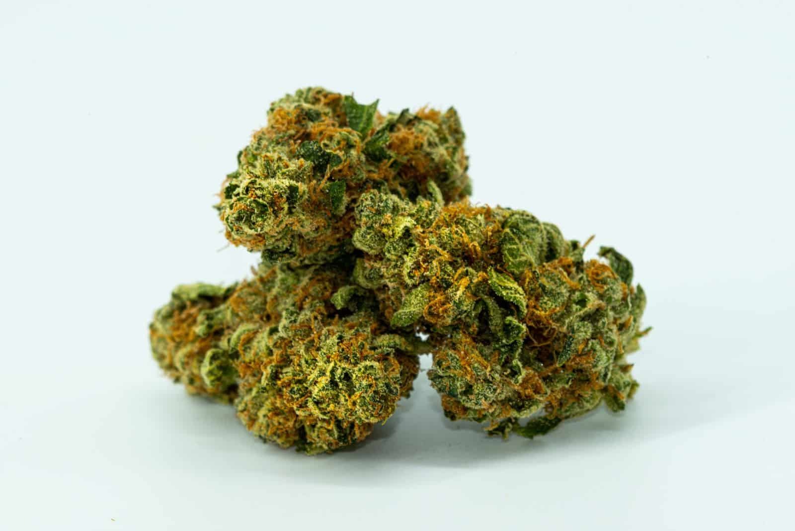 Explore Premium Cannabis Through Online Wiet Kopen With Expert Guidance