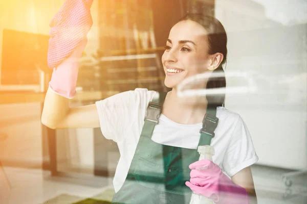 Give Your Property a Cleaner Look With Plano Window Cleaning