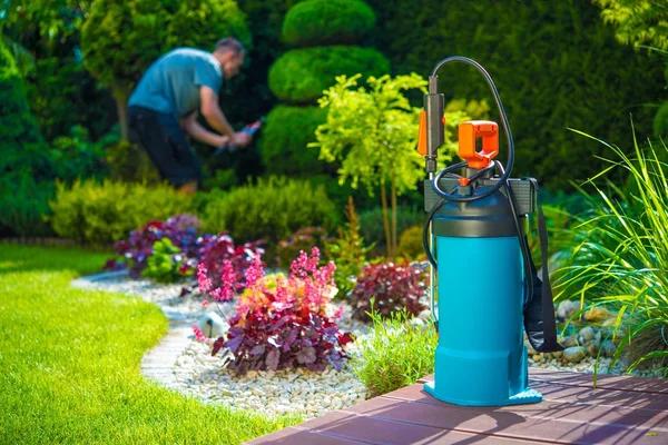 Expert Pest Removal Solutions from Patriot Pest Control